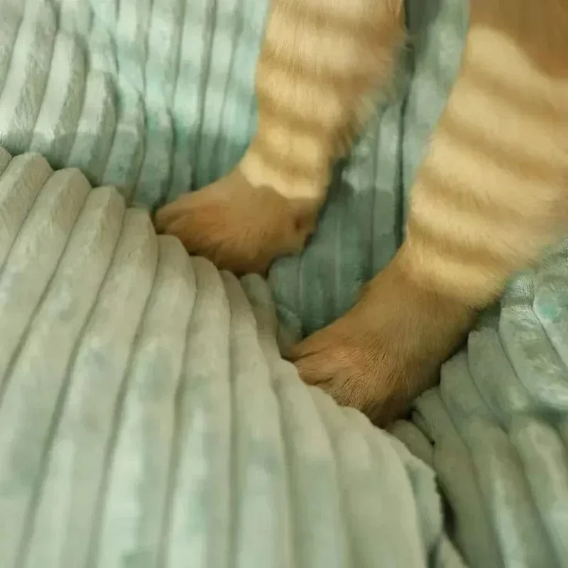 Hundebett, waschbar, Zwinger, für alle vier Jahreszeiten, großes Haustiersofa, plus dickes Cord-Schlafkissen, Welpenmatte für kleine bis große Hunde