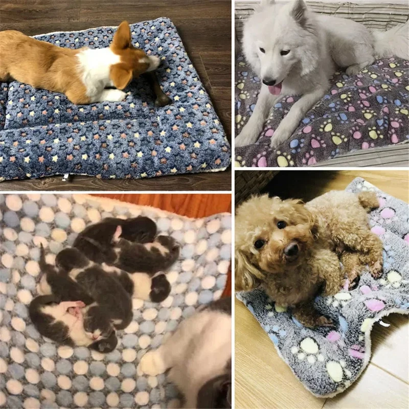 Hunde Katzen Decke Bett Matte Weichkorallen Fleece Winter Verdicken Warme Schlaf Hundebetten für Kleine Haustiere Mittlere Versorgung Dropshipping