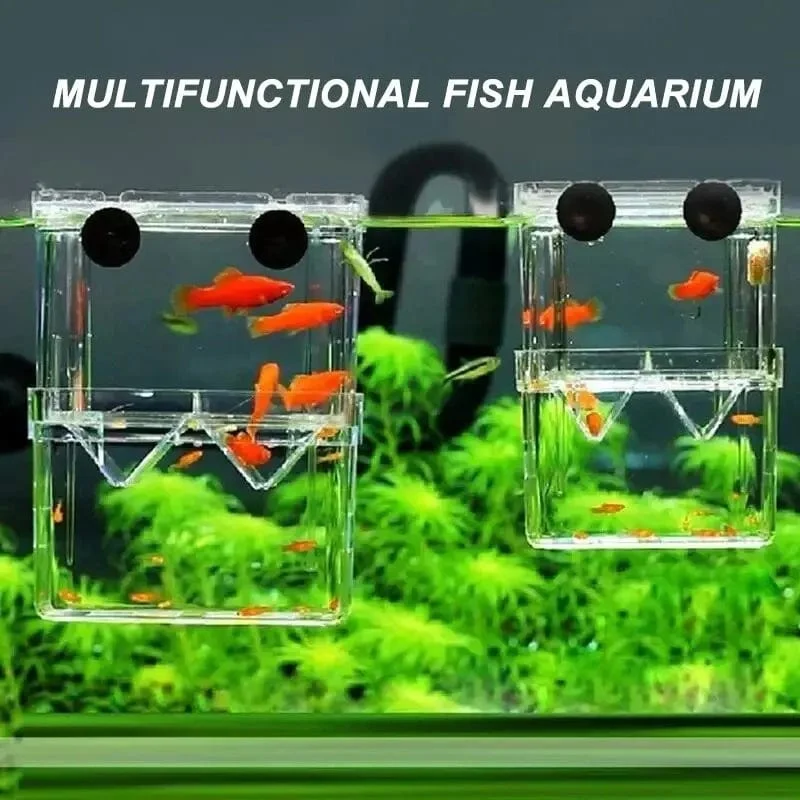 Aquarium Fisch Züchter Box Langlebige Betta Aquarium Fisch Zucht Isolation Box Schlüpfen Inkubator Box Für Baby Fisch Garnelen