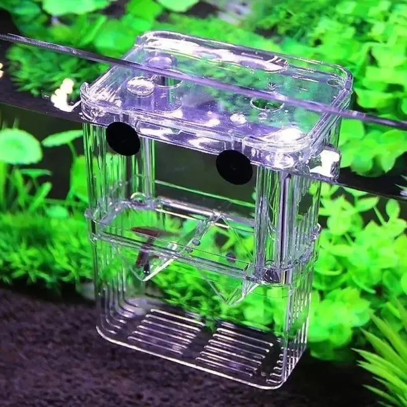 Aquarium Fisch Züchter Box Langlebige Betta Aquarium Fisch Zucht Isolation Box Schlüpfen Inkubator Box Für Baby Fisch Garnelen