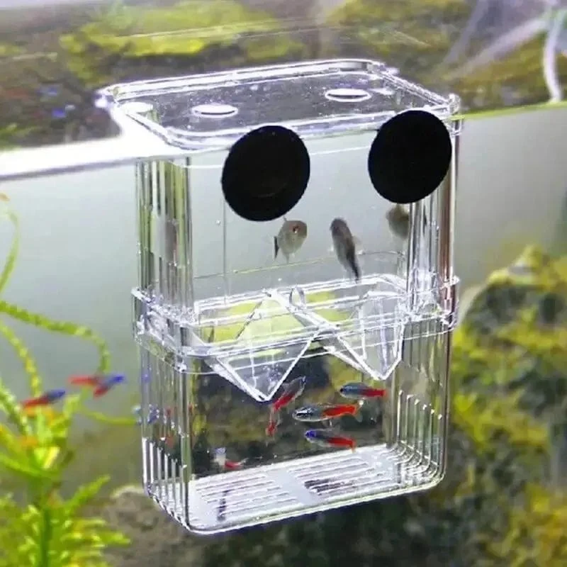 Aquarium Fisch Züchter Box Langlebige Betta Aquarium Fisch Zucht Isolation Box Schlüpfen Inkubator Box Für Baby Fisch Garnelen