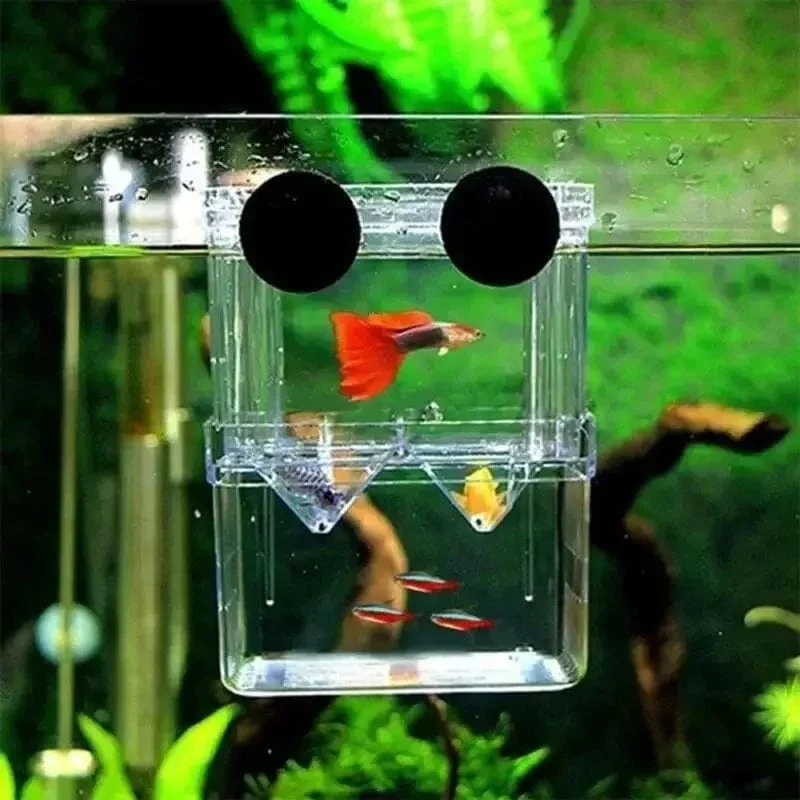 Aquarium Fisch Züchter Box Langlebige Betta Aquarium Fisch Zucht Isolation Box Schlüpfen Inkubator Box Für Baby Fisch Garnelen