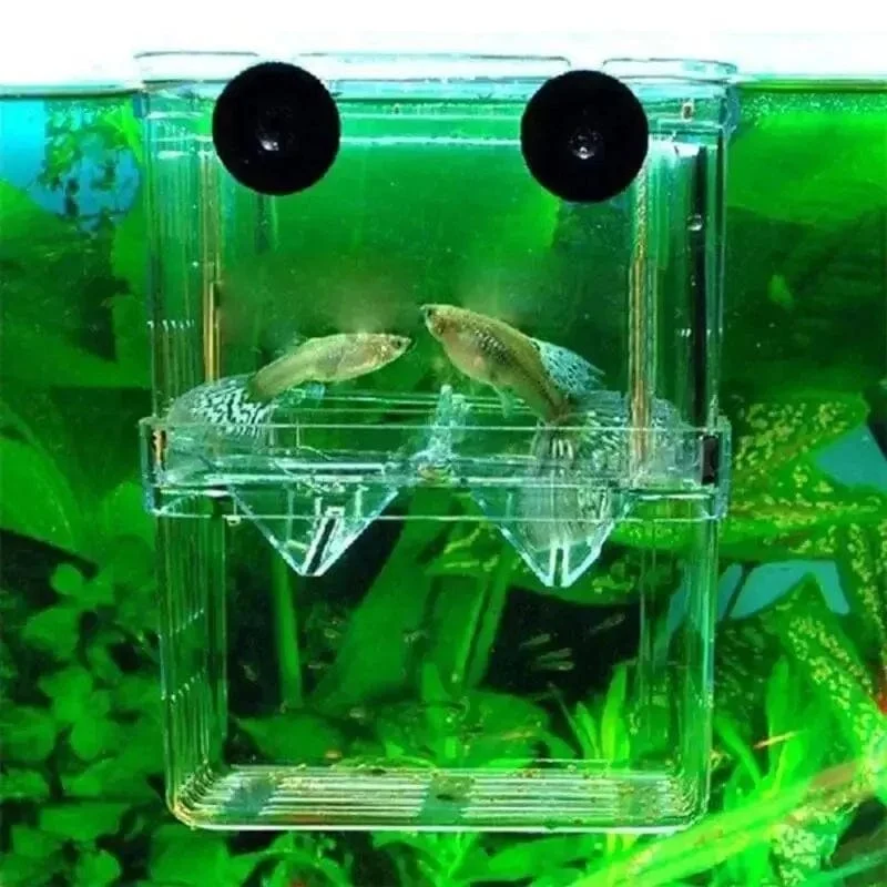 Aquarium Fisch Züchter Box Langlebige Betta Aquarium Fisch Zucht Isolation Box Schlüpfen Inkubator Box Für Baby Fisch Garnelen