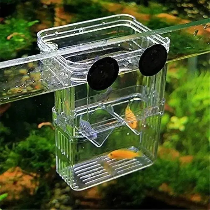 Aquarium Fisch Züchter Box Langlebige Betta Aquarium Fisch Zucht Isolation Box Schlüpfen Inkubator Box Für Baby Fisch Garnelen