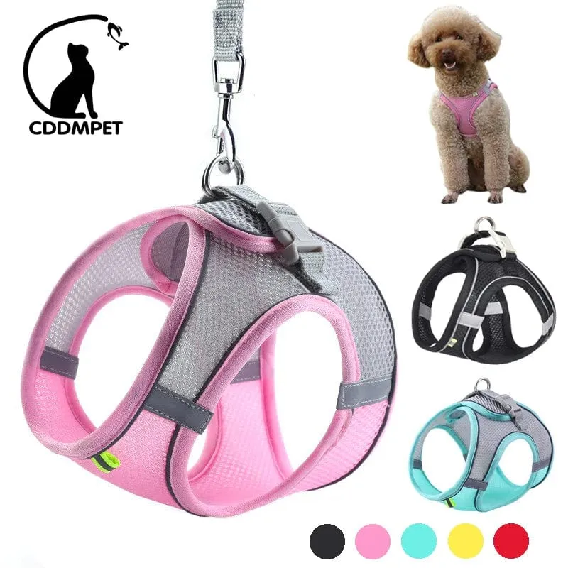 Hundegeschirr-Leine-Set für kleine Hunde, verstellbar, Welpen-Katzengeschirr, Weste, französische Bulldogge, Chihuahua, Mops, Outdoor-Laufleine