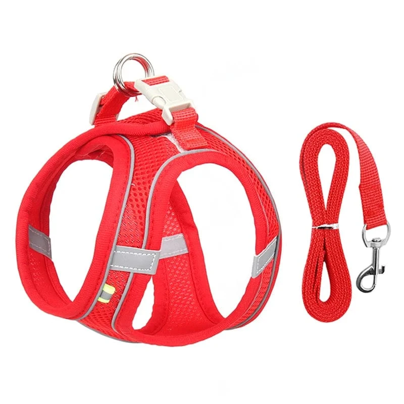 Hundegeschirr-Leine-Set für kleine Hunde, verstellbar, Welpen-Katzengeschirr, Weste, französische Bulldogge, Chihuahua, Mops, Outdoor-Laufleine
