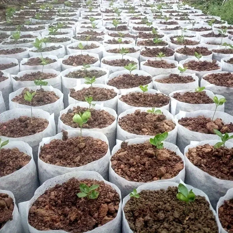 100 Stück/200 Stück/300 Stück biologisch abbaubare Saatgut-Anzuchtbeutel, Vliesstoff-Pflanzenzuchtbeutel, Stoff-Sämlingstöpfe-Pflanzenbeutel, Hausgartenbedarf, Sämlingspflanzen-Anzuchtbeutel für Bodentransplantationsbeutel, landwirtschaftliche Produktionsversorgung