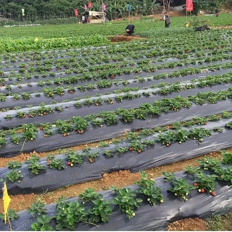1 Stück Kunststofffolie mit Pflanzlöchern, Garten-Unkrautbekämpfungs-Barrierefolie, Mulchen, atmungsaktive Garten-, Landwirtschafts- und Landschaftsfolie zur Aufrechterhaltung der Feuchtigkeitstemperatur