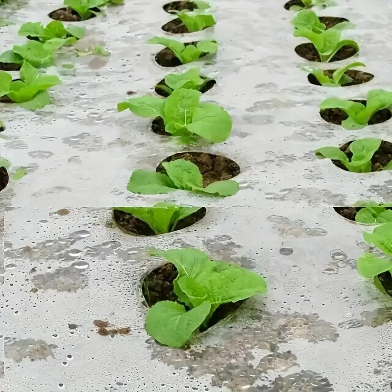 1 Stück Kunststofffolie mit Pflanzlöchern, Garten-Unkrautbekämpfungs-Barrierefolie, Mulchen, atmungsaktive Garten-, Landwirtschafts- und Landschaftsfolie zur Aufrechterhaltung der Feuchtigkeitstemperatur