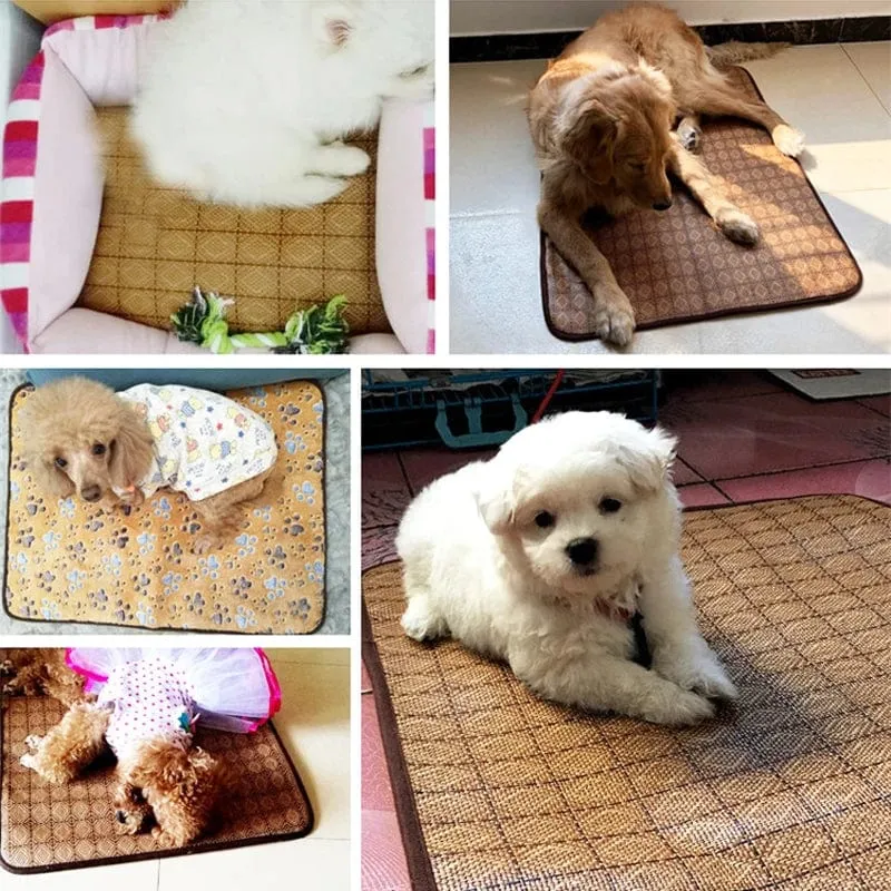 Kühlmatte für Hunde, Sommerunterlage, Haustiermatte, Bett für Hunde, Katzendecke, Sofa, atmungsaktiv, für den Sommer, waschbar, Heimtierbedarf, Zubehör