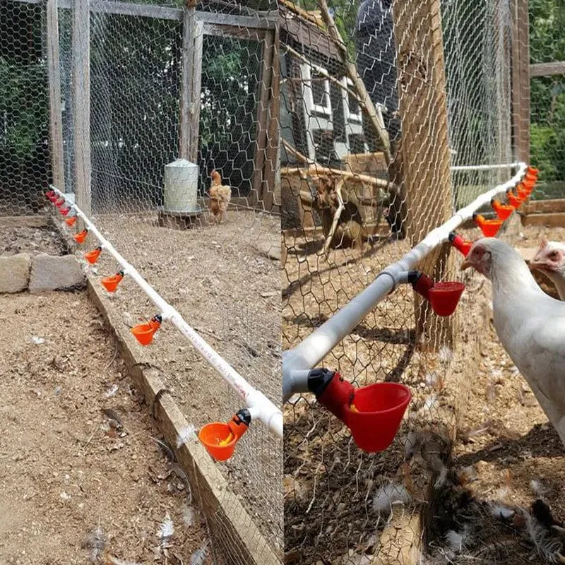 10 Stücke Automatische Hühnerwachtel-Trinkerschale Vogel-Wasserbecher Gerades Rohr Mit Gelbem Nippel Geflügel-Trinkwassersystem