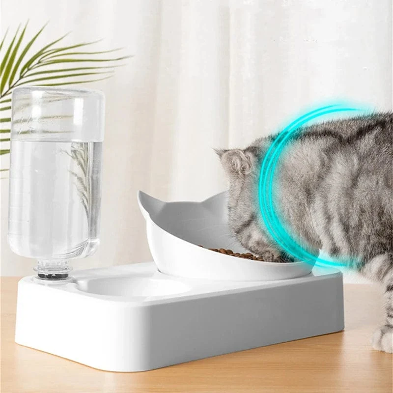 Pet Feeder 2-in-1 Pet Feeding Bowl Hund Katze Automatischer Wasserspender mit abnehmbaren Edelstahlschalen Heimtierbedarf