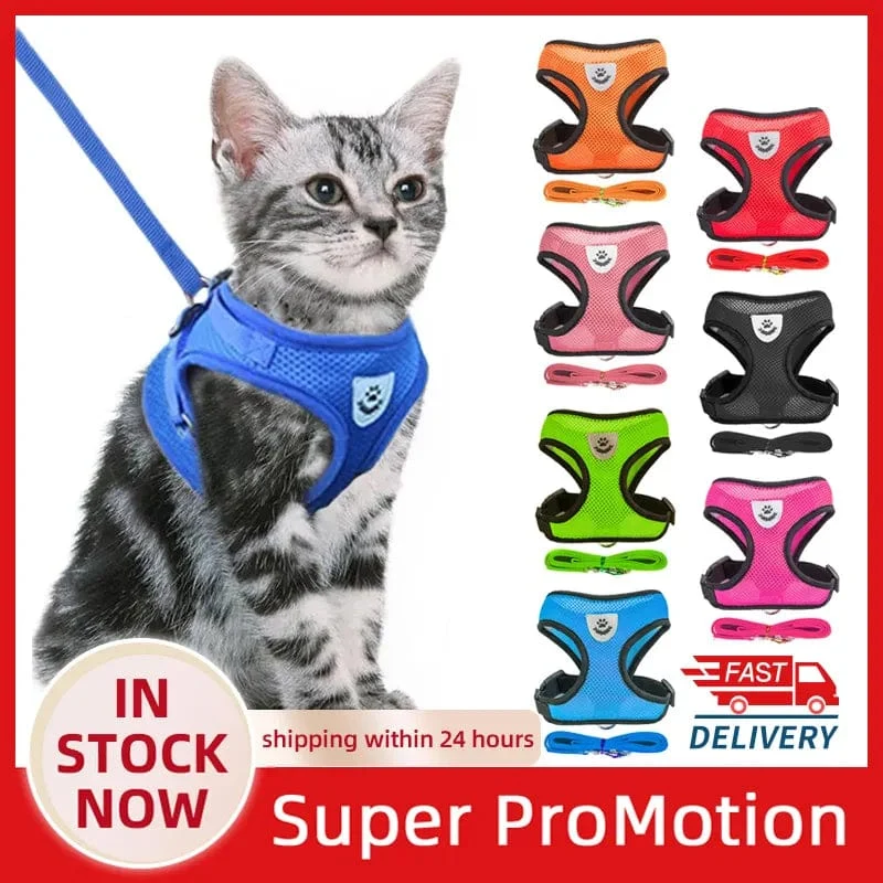 Katzengeschirr, Weste, Gehleine, Leine für Welpen, Hunde, Halsband, Polyester, verstellbares Netz, Hundegeschirr für kleine und mittelgroße Haustiere