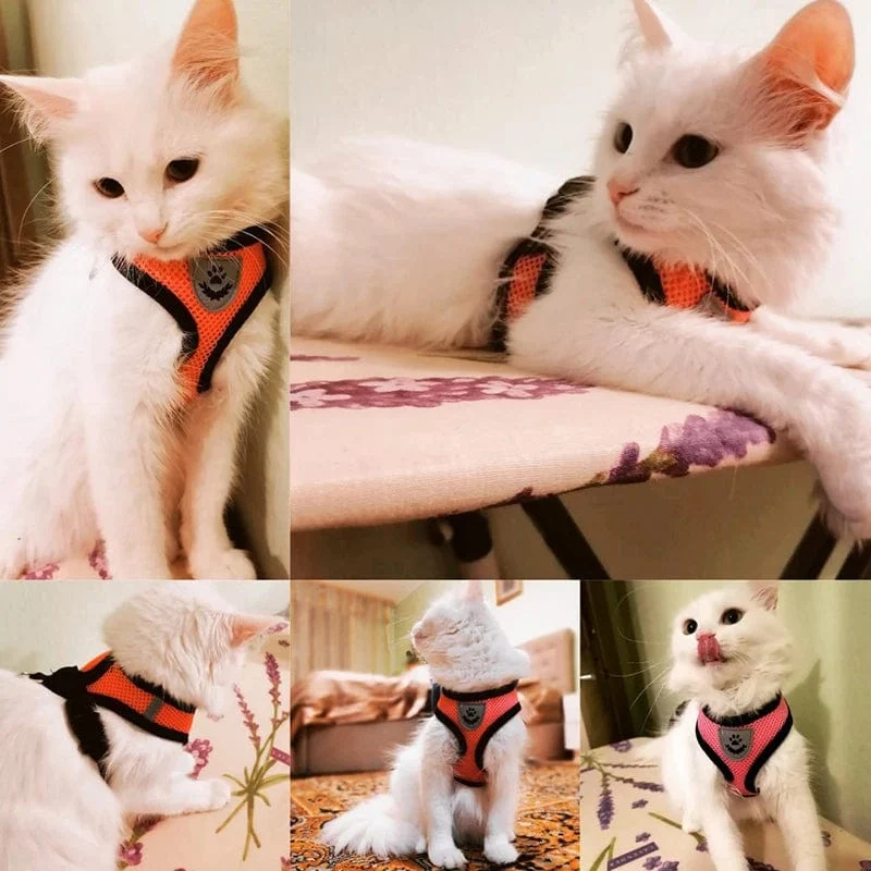 Katzengeschirr, Weste, Gehleine, Leine für Welpen, Hunde, Halsband, Polyester, verstellbares Netz, Hundegeschirr für kleine und mittelgroße Haustiere