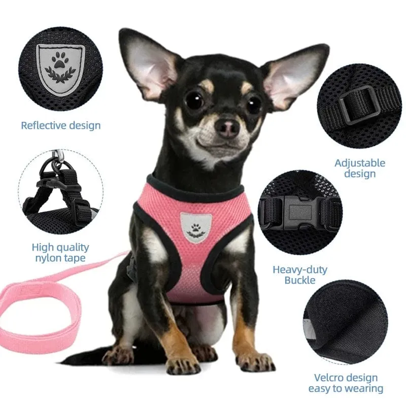 Katzengeschirr, Weste, Gehleine, Leine für Welpen, Hunde, Halsband, Polyester, verstellbares Netz, Hundegeschirr für kleine und mittelgroße Haustiere