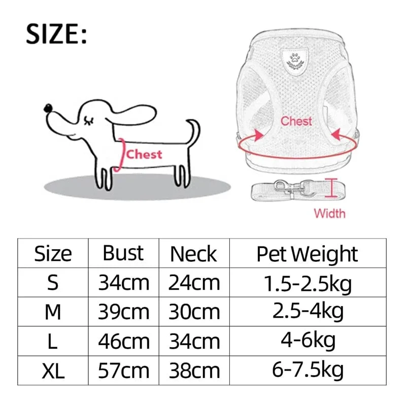 Katzengeschirr, Weste, Gehleine, Leine für Welpen, Hunde, Halsband, Polyester, verstellbares Netz, Hundegeschirr für kleine und mittelgroße Haustiere