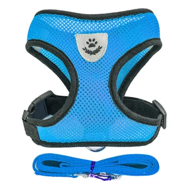 Katzengeschirr, Weste, Gehleine, Leine für Welpen, Hunde, Halsband, Polyester, verstellbares Netz, Hundegeschirr für kleine und mittelgroße Haustiere