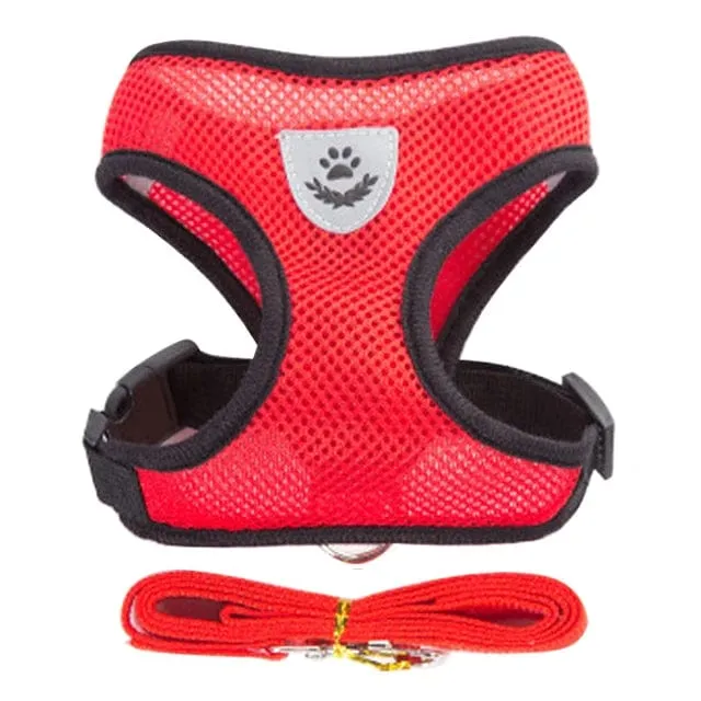 Katzengeschirr, Weste, Gehleine, Leine für Welpen, Hunde, Halsband, Polyester, verstellbares Netz, Hundegeschirr für kleine und mittelgroße Haustiere