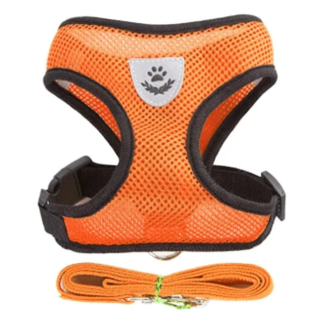Katzengeschirr, Weste, Gehleine, Leine für Welpen, Hunde, Halsband, Polyester, verstellbares Netz, Hundegeschirr für kleine und mittelgroße Haustiere