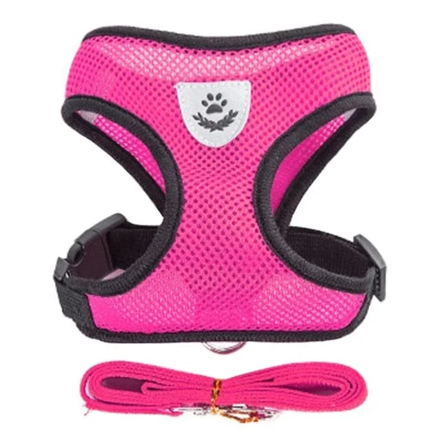 Katzengeschirr, Weste, Gehleine, Leine für Welpen, Hunde, Halsband, Polyester, verstellbares Netz, Hundegeschirr für kleine und mittelgroße Haustiere
