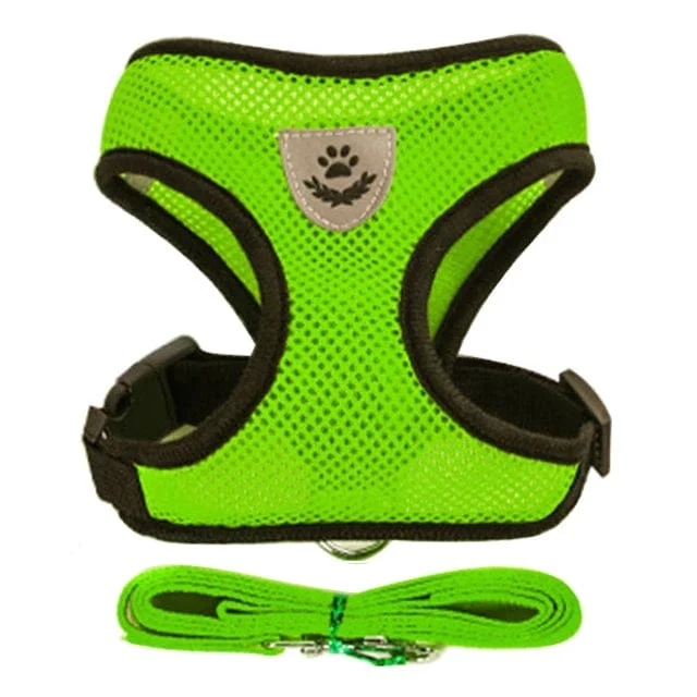 Katzengeschirr, Weste, Gehleine, Leine für Welpen, Hunde, Halsband, Polyester, verstellbares Netz, Hundegeschirr für kleine und mittelgroße Haustiere