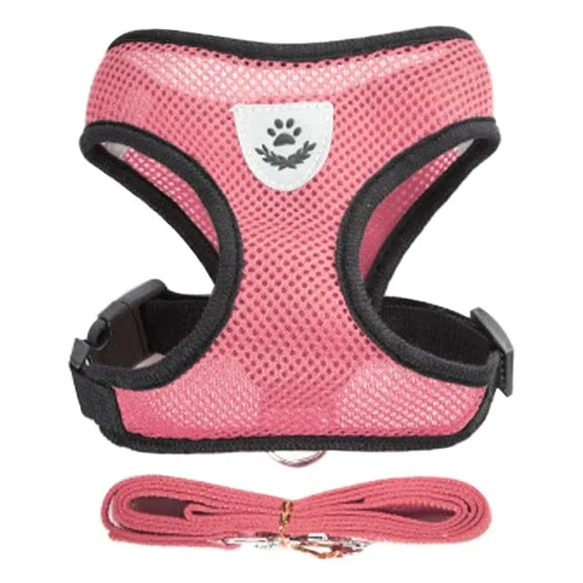 Katzengeschirr, Weste, Gehleine, Leine für Welpen, Hunde, Halsband, Polyester, verstellbares Netz, Hundegeschirr für kleine und mittelgroße Haustiere