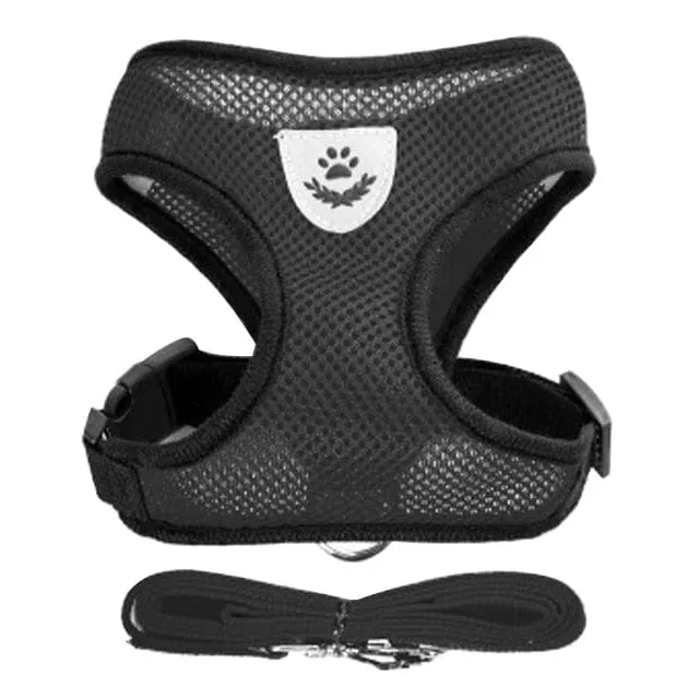 Katzengeschirr, Weste, Gehleine, Leine für Welpen, Hunde, Halsband, Polyester, verstellbares Netz, Hundegeschirr für kleine und mittelgroße Haustiere