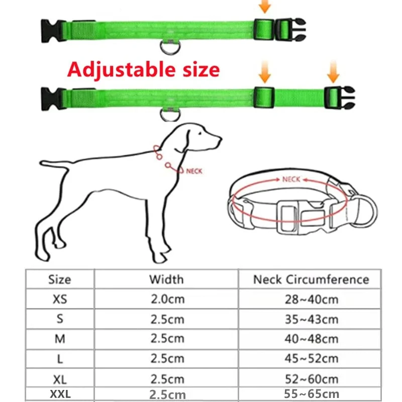 LED leuchtendes Hundehalsband, verstellbar, blinkend, Rechargea, leuchtendes Halsband, Nacht-Anti-Lost-Hundelichtgeschirr für kleine Hunde