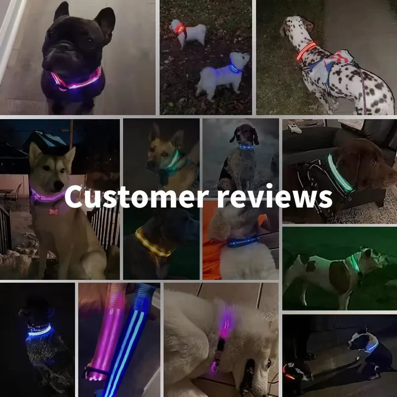 LED leuchtendes Hundehalsband, verstellbar, blinkend, Rechargea, leuchtendes Halsband, Nacht-Anti-Lost-Hundelichtgeschirr für kleine Hunde
