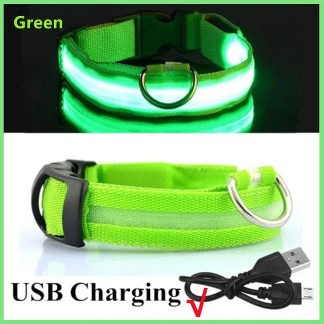 LED leuchtendes Hundehalsband, verstellbar, blinkend, Rechargea, leuchtendes Halsband, Nacht-Anti-Lost-Hundelichtgeschirr für kleine Hunde