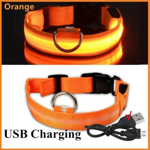 LED leuchtendes Hundehalsband, verstellbar, blinkend, Rechargea, leuchtendes Halsband, Nacht-Anti-Lost-Hundelichtgeschirr für kleine Hunde