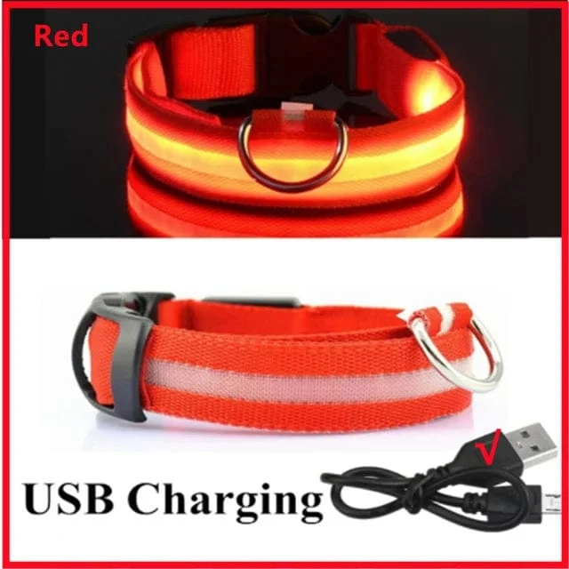 LED leuchtendes Hundehalsband, verstellbar, blinkend, Rechargea, leuchtendes Halsband, Nacht-Anti-Lost-Hundelichtgeschirr für kleine Hunde