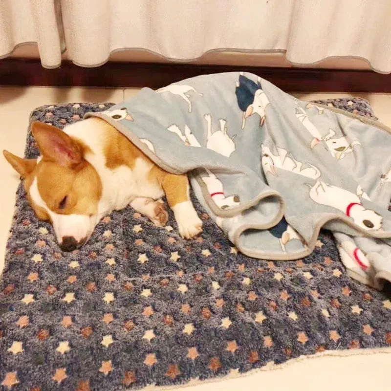 Hundebett, verdickte Hundematte, weiche Fleece-Unterlage für Haustiere, Decke, Bettmatte, Kissen, Heim, waschbarer Teppich, warm halten, Haustierbedarf, Cama Perro