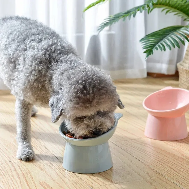 2023 Neuer Katzennapf mit hohem Fuß, Hundenapf, 45°-Nackenschutz, Katzenfutter, Wassernäpfe, Futterbecher für Haustiere, Futterspender
