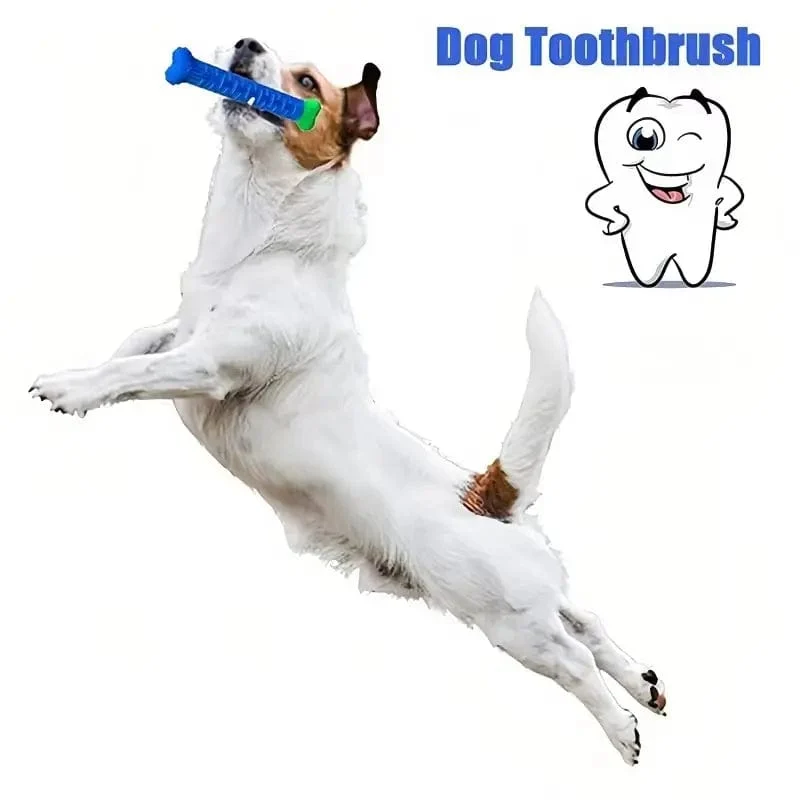 Hunde-Molar-Stick, lebensmittelecht, Knochenform, Hundezahnreinigung, interaktiv, bissfest, für kleine Haustiere mit leichter Bisskraft