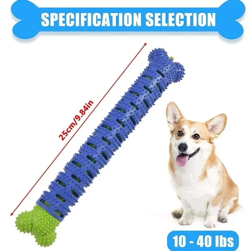 Hunde-Molar-Stick, lebensmittelecht, Knochenform, Hundezahnreinigung, interaktiv, bissfest, für kleine Haustiere mit leichter Bisskraft