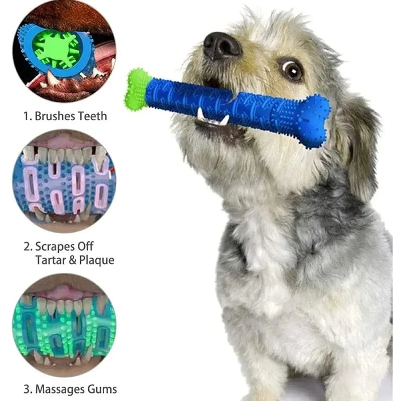 Hunde-Molar-Stick, lebensmittelecht, Knochenform, Hundezahnreinigung, interaktiv, bissfest, für kleine Haustiere mit leichter Bisskraft