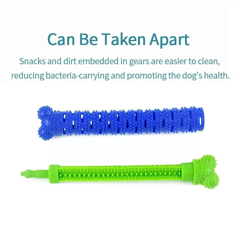 Hunde-Molar-Stick, lebensmittelecht, Knochenform, Hundezahnreinigung, interaktiv, bissfest, für kleine Haustiere mit leichter Bisskraft