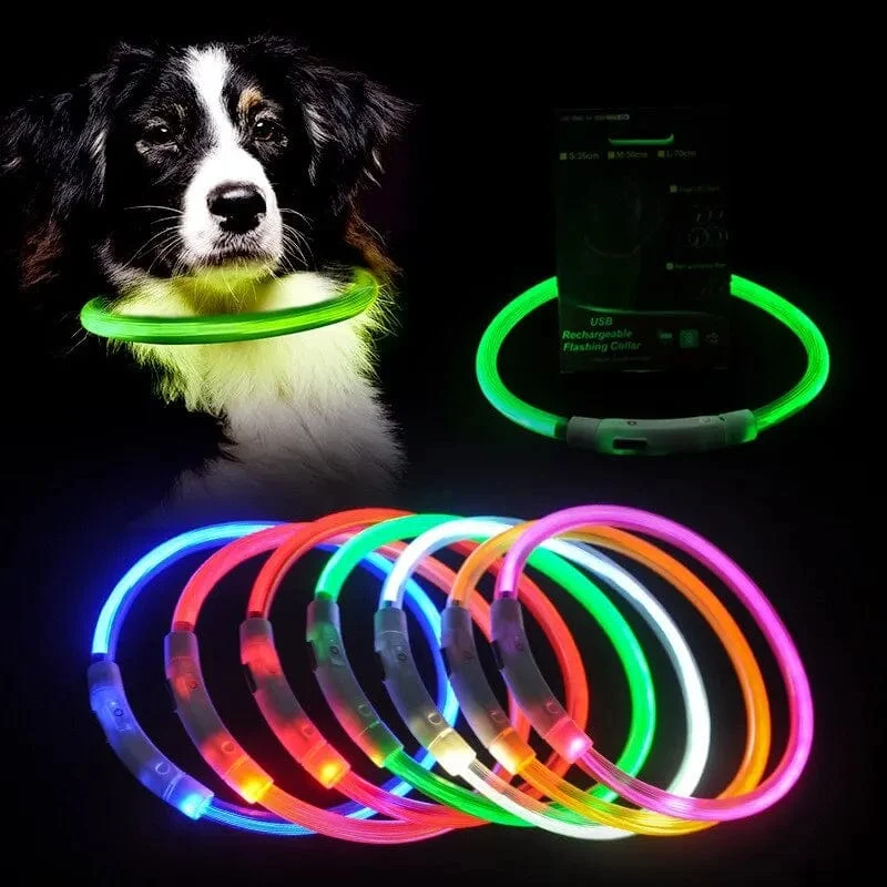 Led USB Hund Kragen Haustier Hund Nacht Leuchtende Lade Kragen Led Nacht Sicherheit Blinkende Glow Hund Verlust Prävention Kragen Haustier zubehör