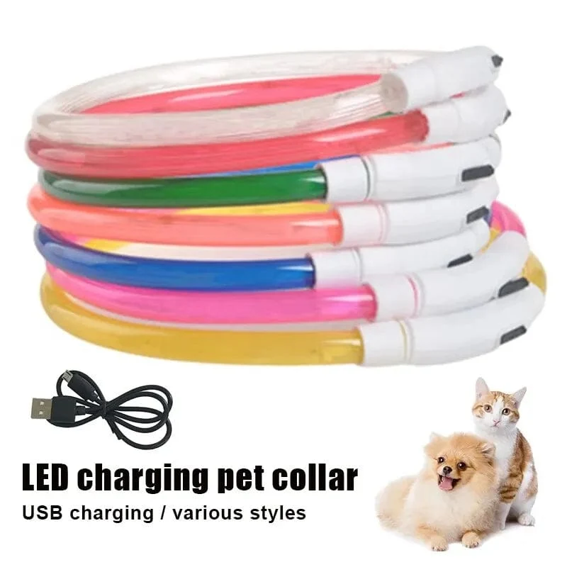 Led USB Hund Kragen Haustier Hund Nacht Leuchtende Lade Kragen Led Nacht Sicherheit Blinkende Glow Hund Verlust Prävention Kragen Haustier zubehör