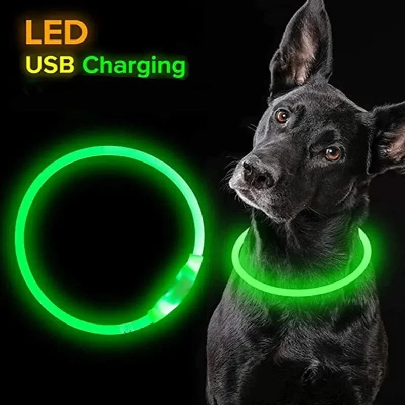 Led USB Hund Kragen Haustier Hund Nacht Leuchtende Lade Kragen Led Nacht Sicherheit Blinkende Glow Hund Verlust Prävention Kragen Haustier zubehör