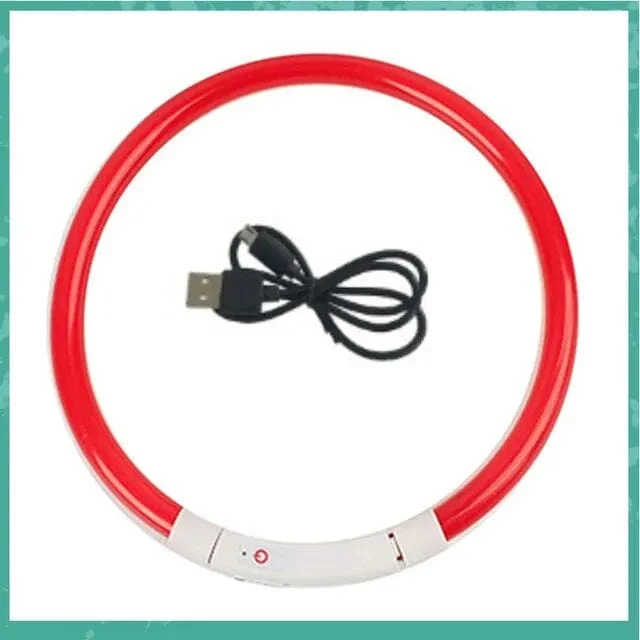 Led USB Hund Kragen Haustier Hund Nacht Leuchtende Lade Kragen Led Nacht Sicherheit Blinkende Glow Hund Verlust Prävention Kragen Haustier zubehör