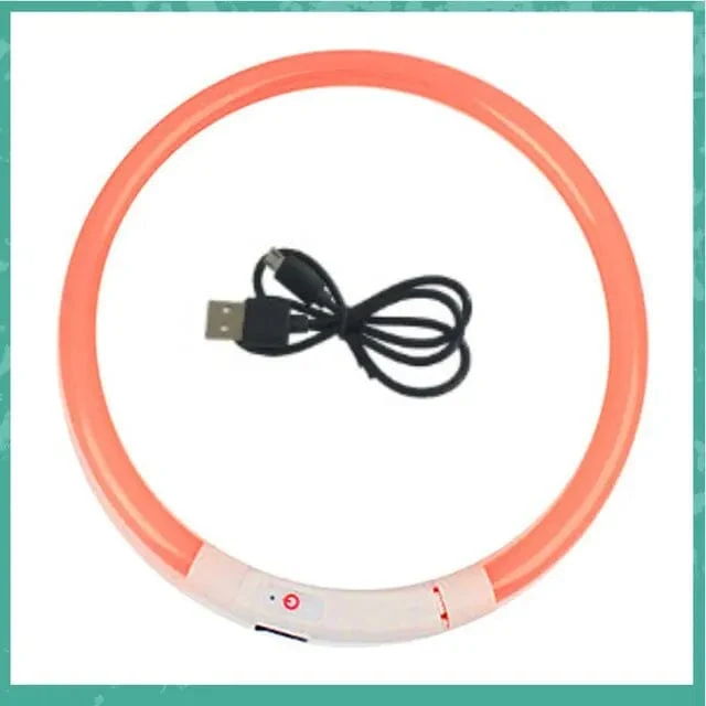 Led USB Hund Kragen Haustier Hund Nacht Leuchtende Lade Kragen Led Nacht Sicherheit Blinkende Glow Hund Verlust Prävention Kragen Haustier zubehör