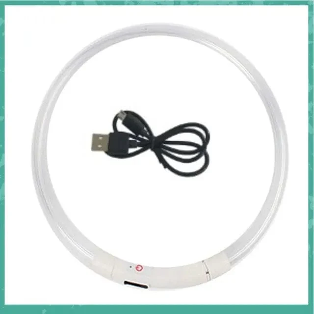 Led USB Hund Kragen Haustier Hund Nacht Leuchtende Lade Kragen Led Nacht Sicherheit Blinkende Glow Hund Verlust Prävention Kragen Haustier zubehör