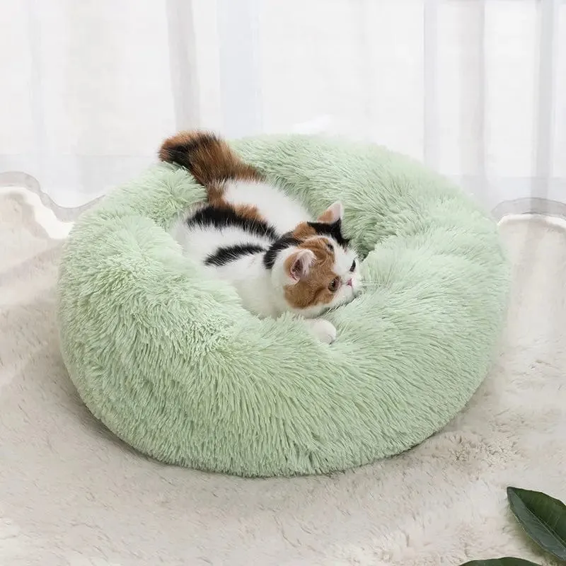 Katzennest, rund, weich, zottelige Matte für Kätzchen, Chihuahua, für den Innenbereich, für Hunde und Katzen, Heimtierbedarf, abnehmbares, maschinenwaschbares Kissenbett