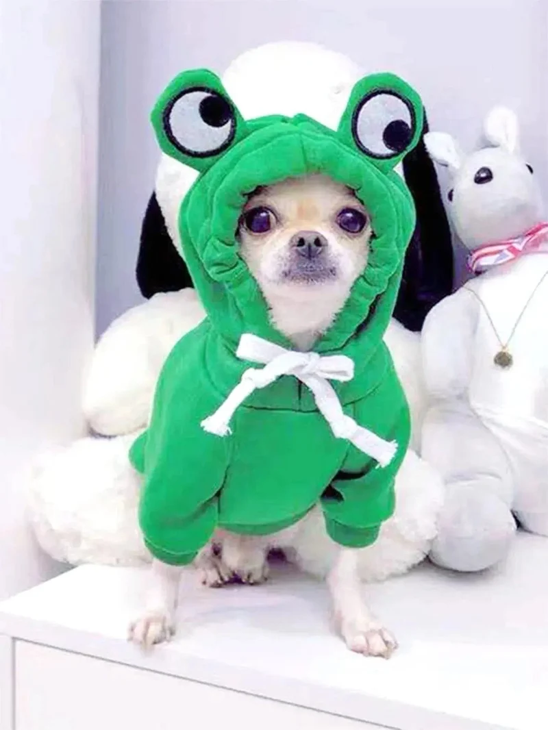 1 x süßer Haustierpullover mit Froschmotiv für kleine und mittelgroße Hunde – grüner Hunde-Kapuzenpullover mit lustigem Design – halten Sie Ihren Welpen gemütlich und stilvoll