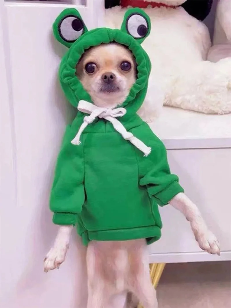 1 x süßer Haustierpullover mit Froschmotiv für kleine und mittelgroße Hunde – grüner Hunde-Kapuzenpullover mit lustigem Design – halten Sie Ihren Welpen gemütlich und stilvoll
