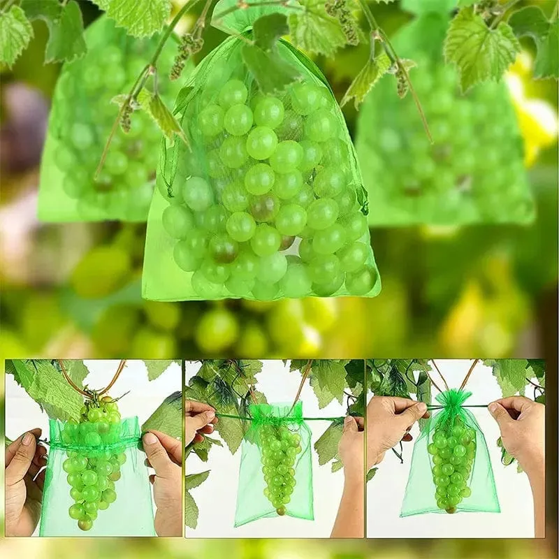 Obstschutzbeutel, 100 Stück, Trauben-Netzbeutel, Schädlingsbekämpfung, Anti-Vogel, Gemüse, Obst, Netz, Gartenpflanzer, Erdbeer-Wachstumsbeutel