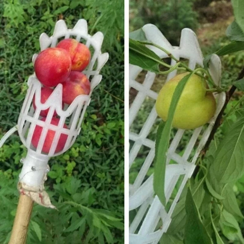 Metall Obstpflücker Obstgarten Gartenarbeit Apfel Pfirsich Hohe Baumpflückwerkzeuge Obstfänger Sammler Gartengeräte