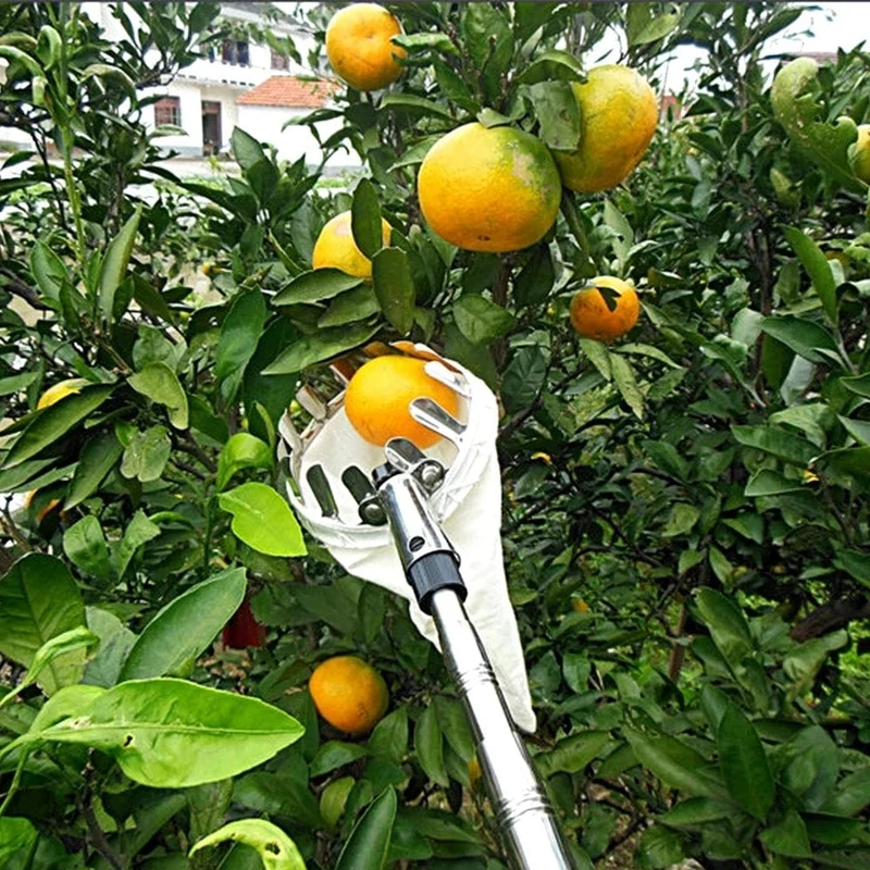 Metall Obstpflücker Obstgarten Gartenarbeit Apfel Pfirsich Hohe Baumpflückwerkzeuge Obstfänger Sammler Gartengeräte